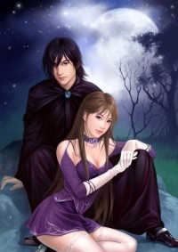 偷了寂寞女人心:愛在婚外